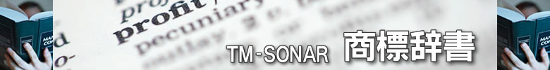 TM‐SONAR辞書
